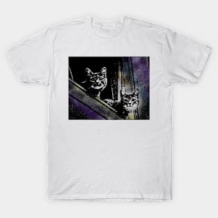 Galaxy Cats T-Shirt